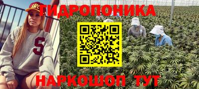 МДМА Лесосибирск